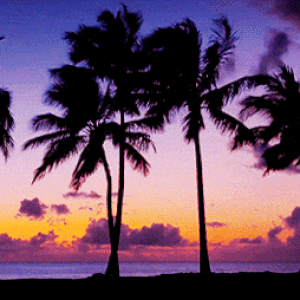 ezgif.com-resize-25.gif