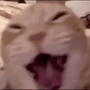ezgif.com-resize.gif